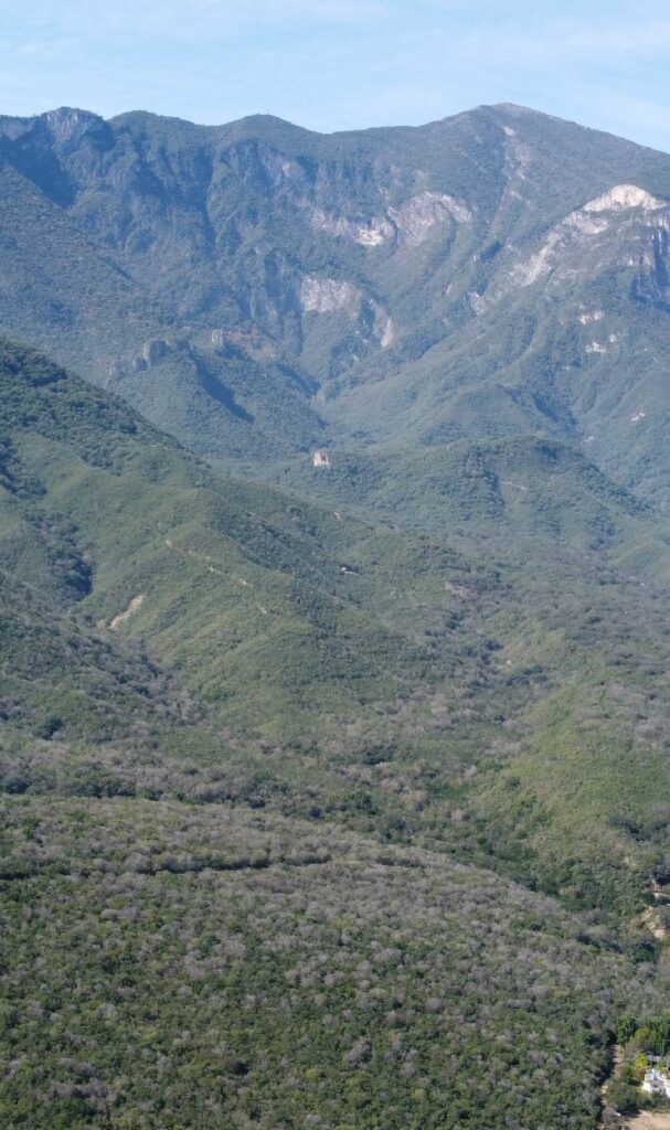 CARRUSEL MESA-02