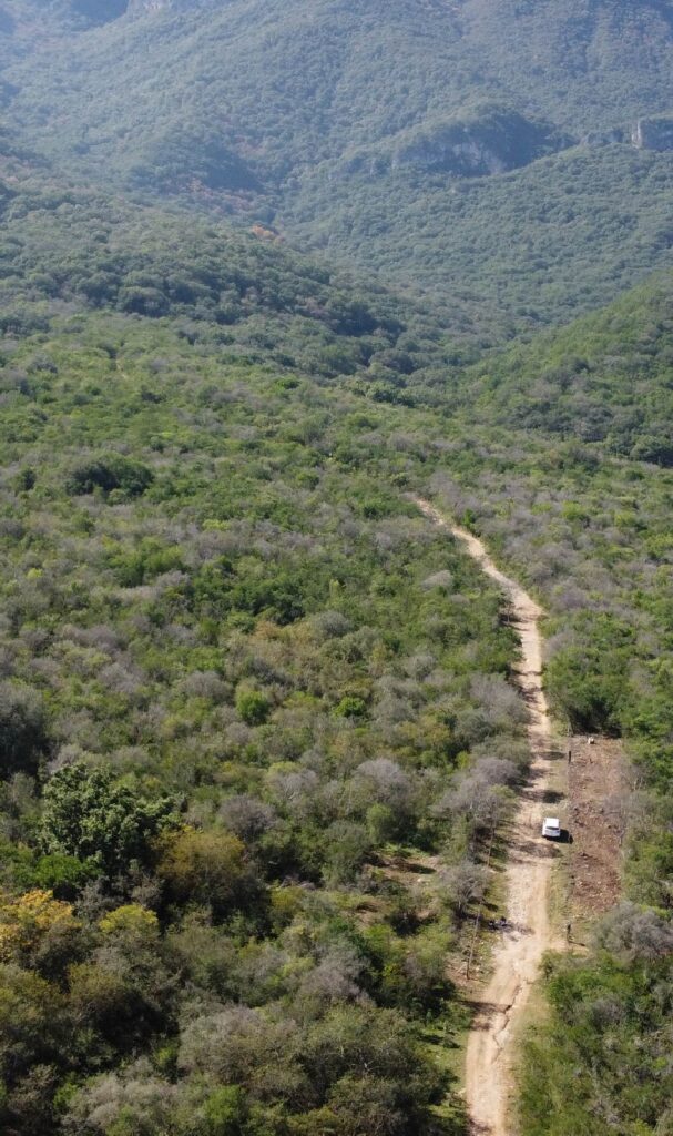 CARRUSEL MESA-05